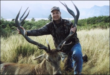 South Island Red Stag